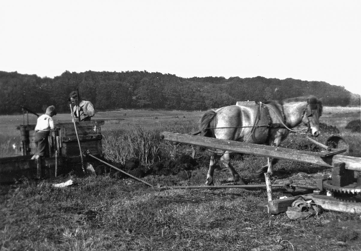Tørveæltning i Oremosen - 1945 - klik for større udgave